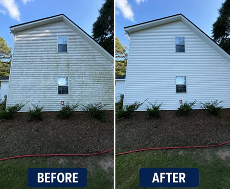 Mold, Mildew, and Algae: What’s Growing on Your Home This Summer?