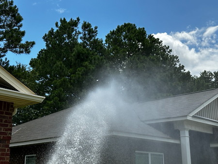 How Georgia Pollen Season Affects Your Roof (And Why Cleaning Matters)