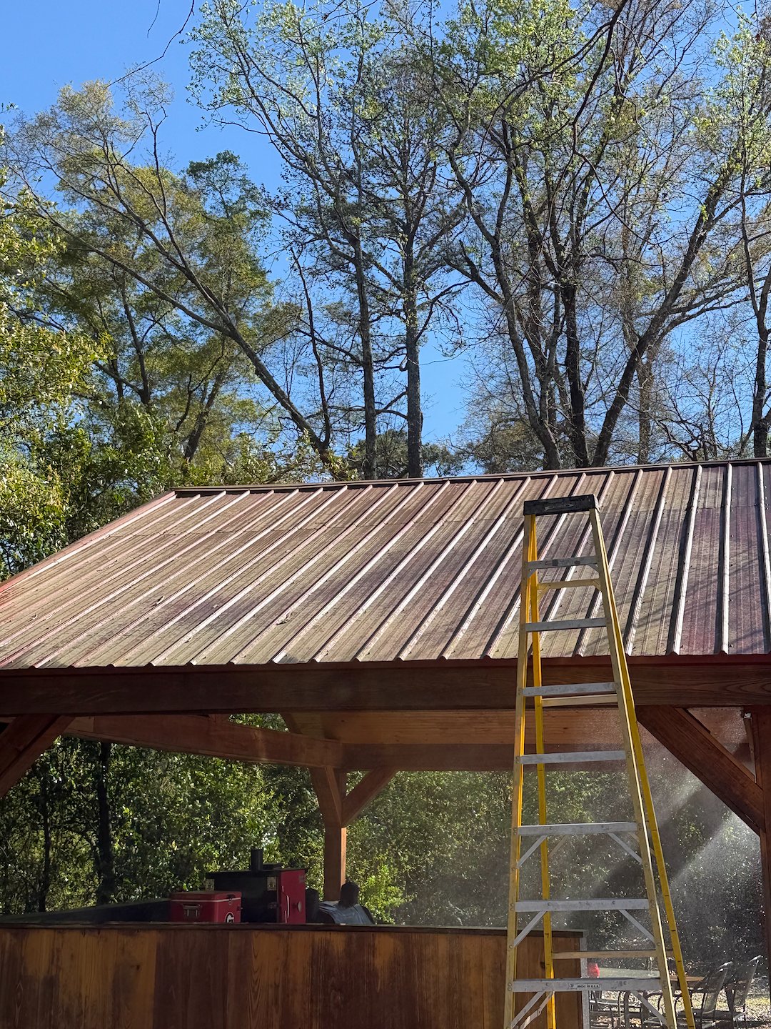Tin Roof looking dirty in Kathleen Ga 